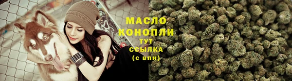 mix Богородицк